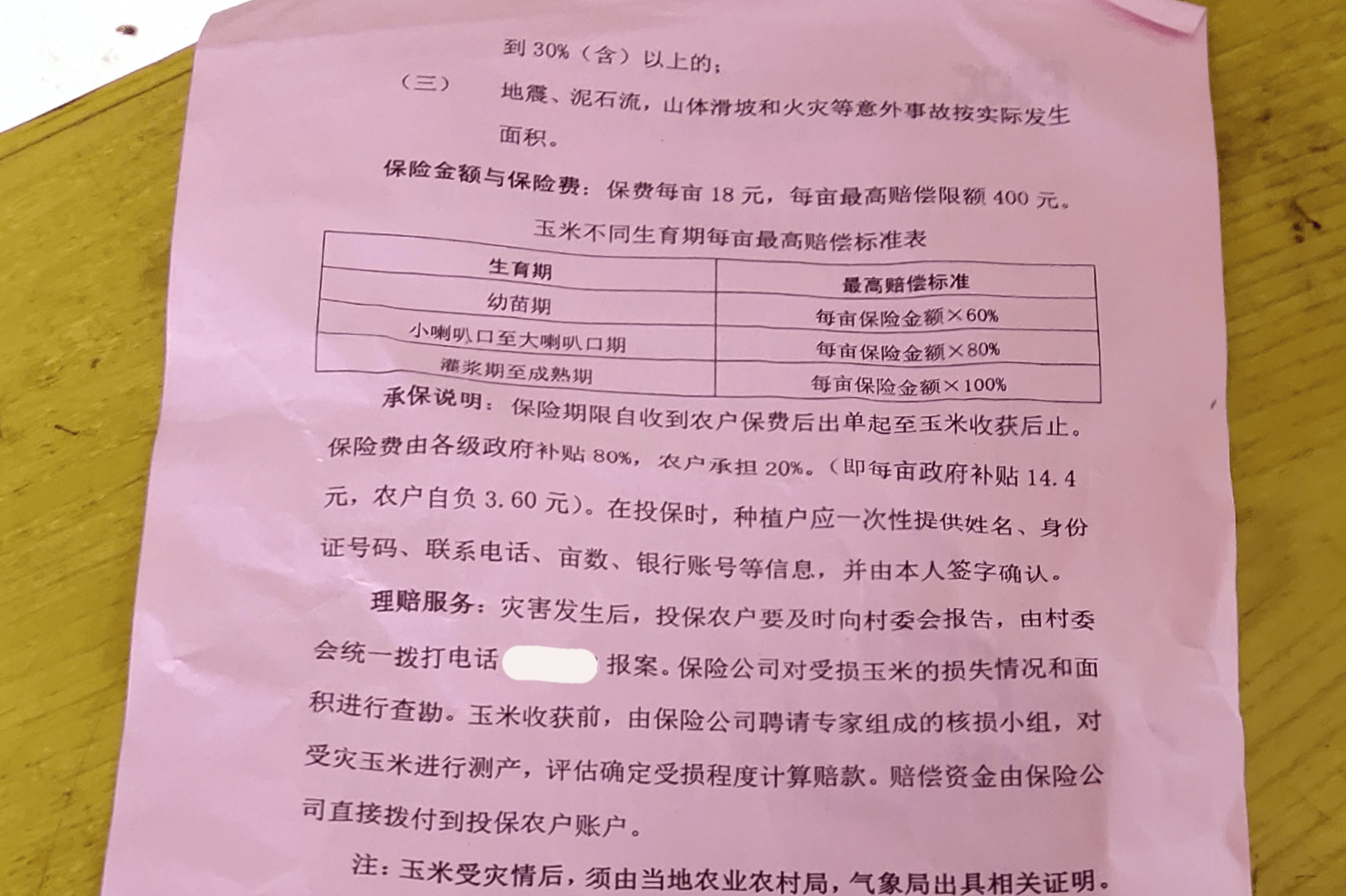 别人口头授权代写收据可以吗_收据样本(2)