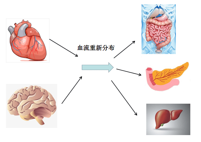 大爷|狐大医 | 七旬大爷时常头晕、眼前发黑，竟是吃饭“惹的祸”