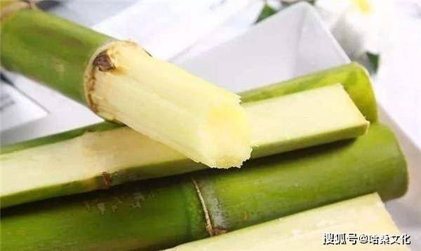 甘蔗切成小块只有南方有吗 392521a25f964117927d4de0406d4753.jpeg
