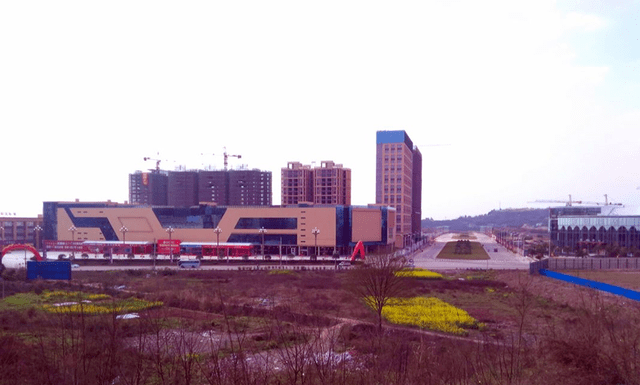 2020年仁寿县各镇人_眉山市2020年度最美家庭拟表扬名单出炉!