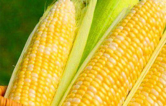 肌肤|美容养颜、延缓衰老，令肌肤保持光泽美丽适合女性吃的食物