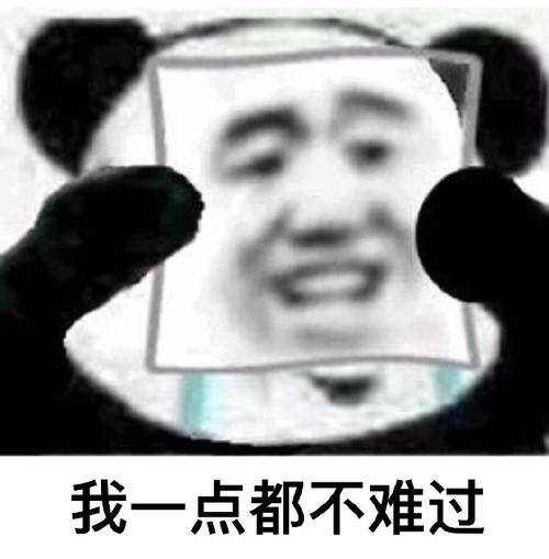 cc7f63f842314e57a1cd73504e00c346.jpeg