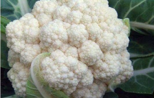 肌肤|美容养颜、延缓衰老，令肌肤保持光泽美丽适合女性吃的食物