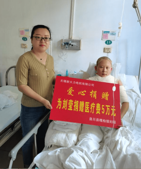 柏合镇经济总量_经济