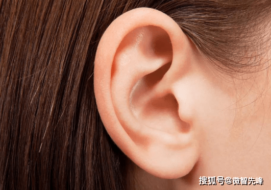 af80399aa77a4895a00e877b02fed1a4.png