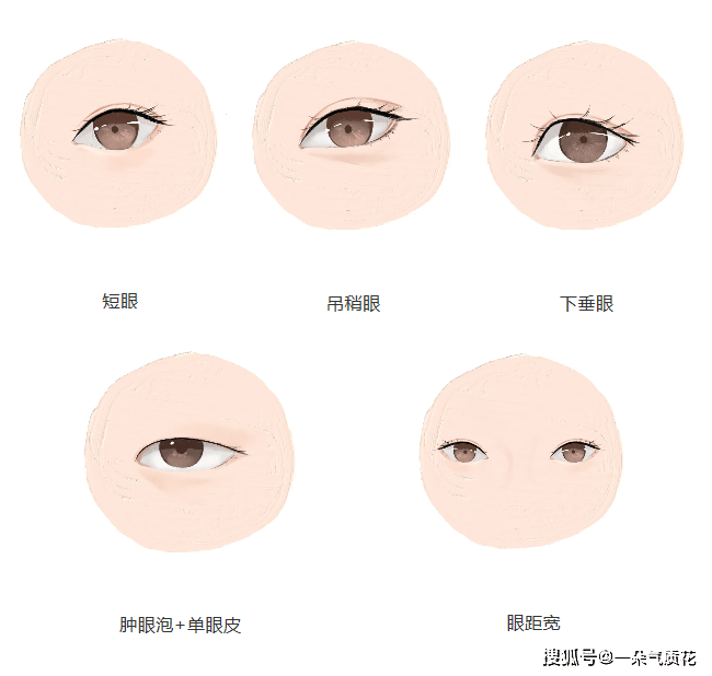 常见的非标准眼型大概有这么几种:短眼,吊稍眼,下垂眼,单眼皮 肿泡眼