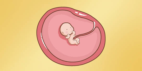 几个月可以感受到胎心跳 9fa8bf8391414ebc9c340fc3f915a23e.jpeg