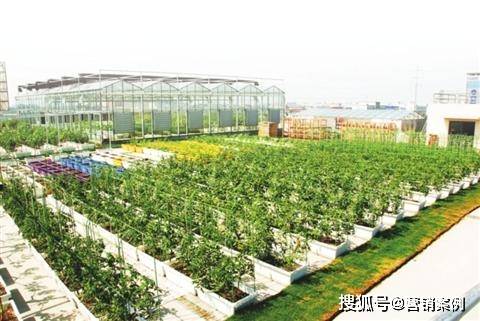 盛泽有多少人口