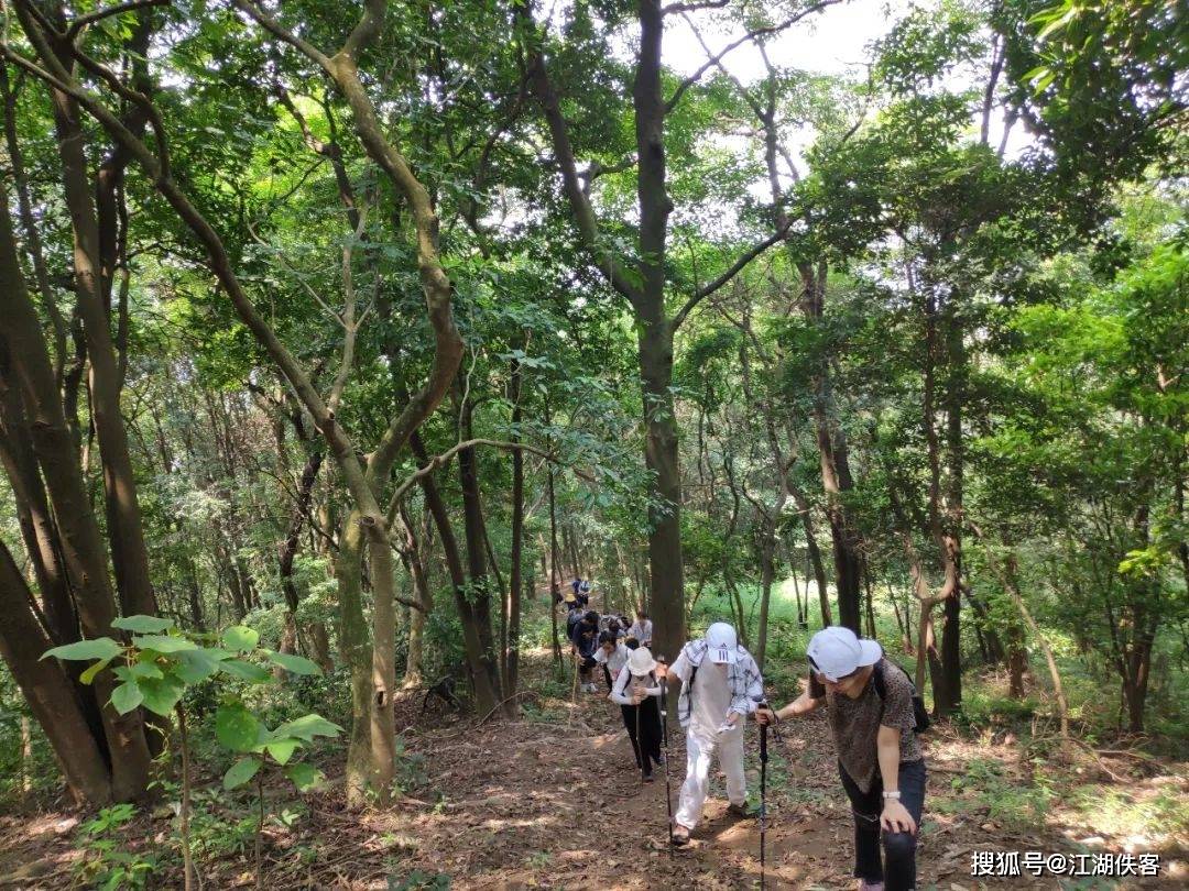 原创油麻山天池继六片山天池后广州的另一滴眼泪