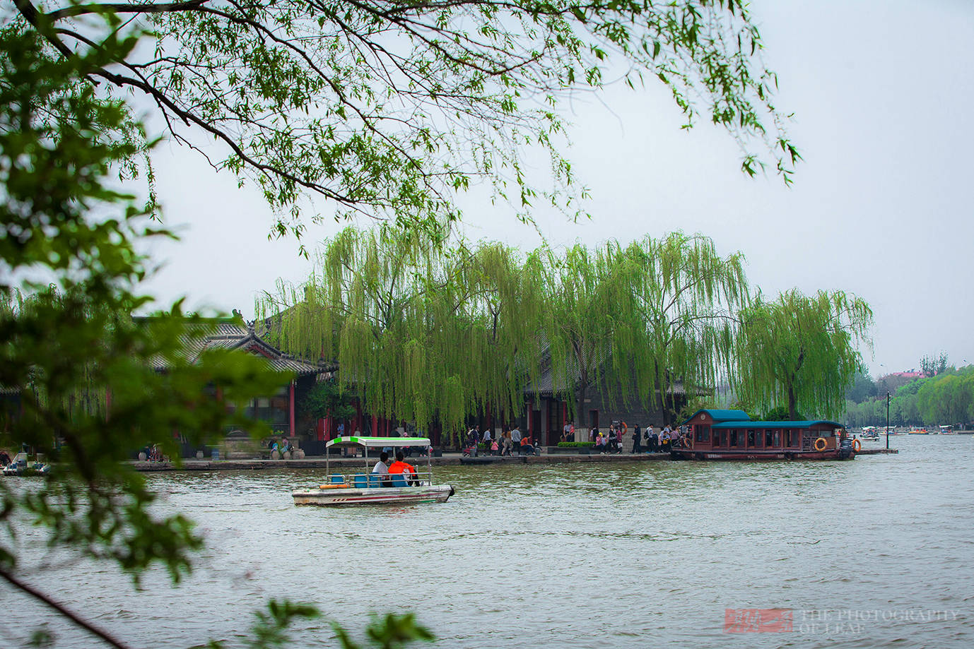 夏雨荷|乾隆心心念念的大明湖，不但没夏雨荷，46个大明湖才抵一个西湖