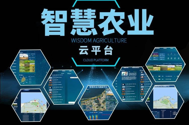 智慧农业云平台可广泛应用于国内外大中型农业企业,科研机构,各级现代