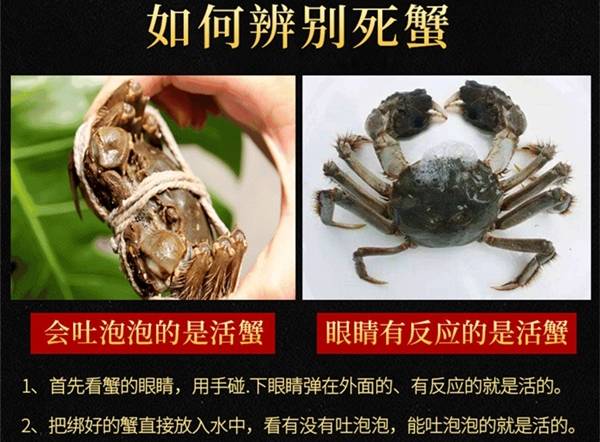 什么属于生鲜类食品 1b41d255412b4c628bbdd89062df1466.jpeg