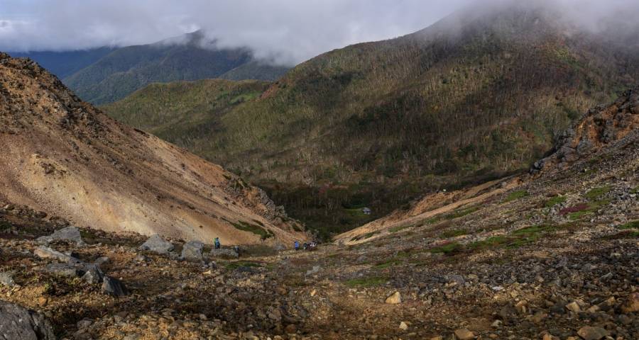 家电线上平台高增长时代已结束了!-家电圈官网