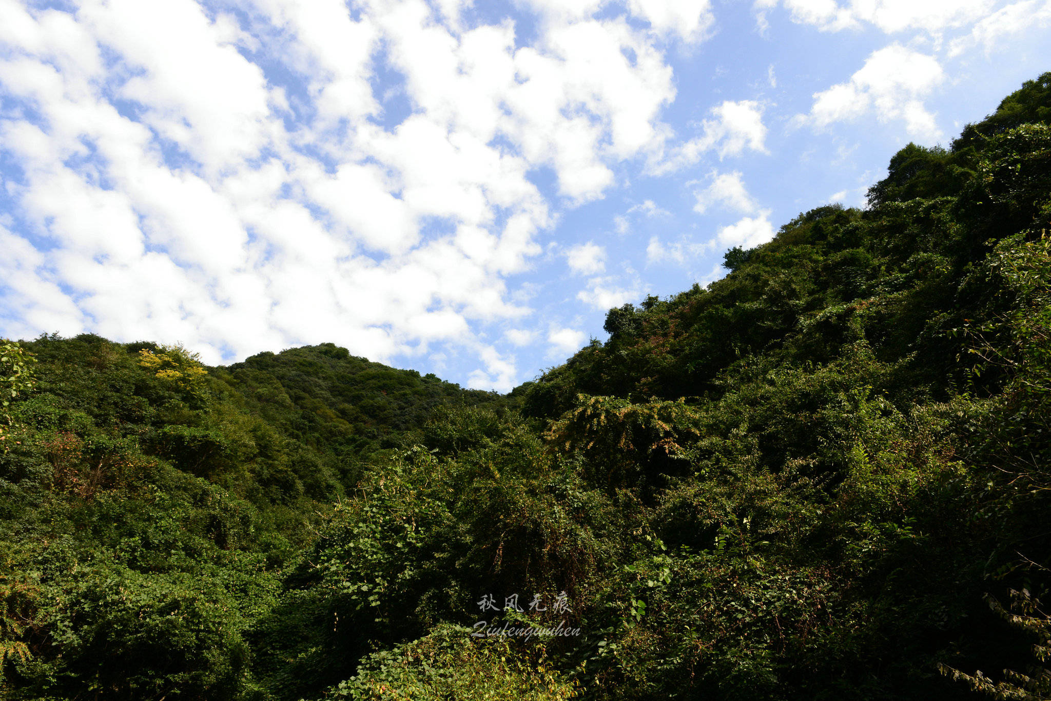 秦岭(|杜陵看山，秦岭望长安，抱龙峪里观云听秋风