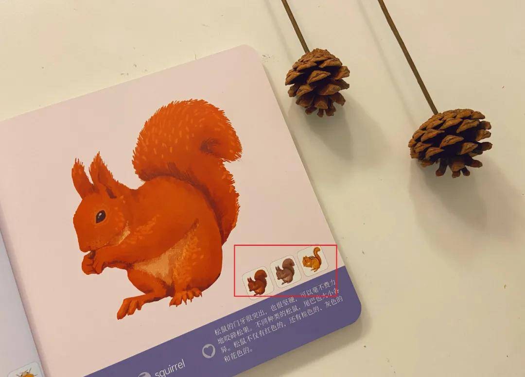 绘本|0~4岁绘本怎么挑？这套书给满分