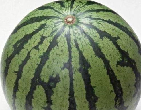 西瓜怎么切成花朵 46dea3cd25244ce9b96a0c02caa6217e.jpeg