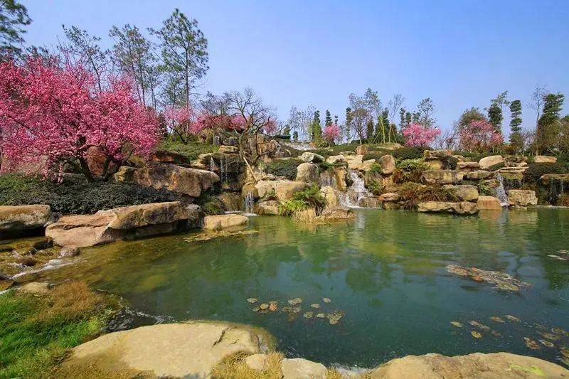 建设美丽宜居公园城市秀丽东方是这样做的