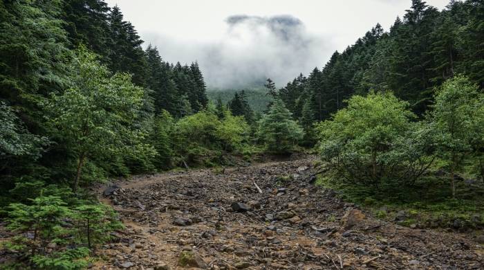 美的九阳老板牵手华为鸿蒙，能撬动一轮家电消费反弹吗？-家电圈官网