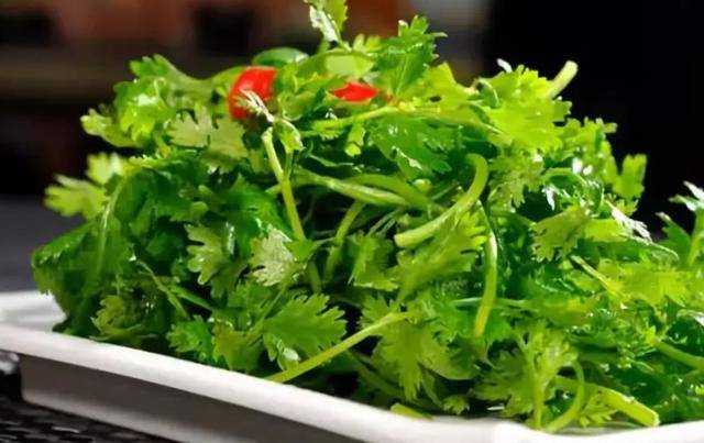 什么时候种菠菜和香菜 c2cc2e1342274a0095f9f0fa712c61a8.jpeg