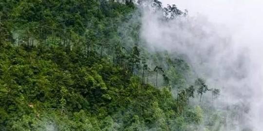 郴州市有多少人口_一个色彩代表一座城,郴州各地代表颜色出炉,你的家乡什么