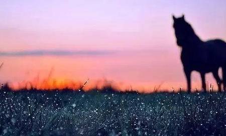 拍照如何拍出黑背景 a86b09ef9e7c410fb68e3aa745c5a8d4.jpeg