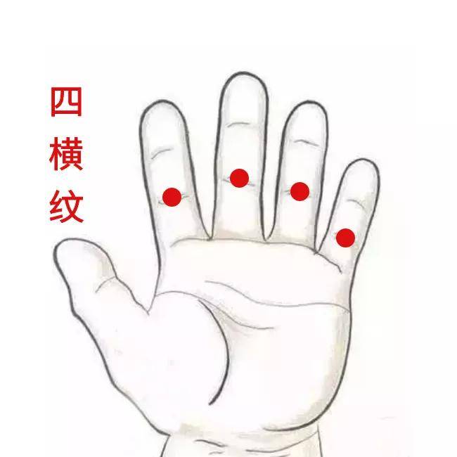 孩子|因人制宜才是关键！——湘曦源不要盲目给孩子“贴秋膘”
