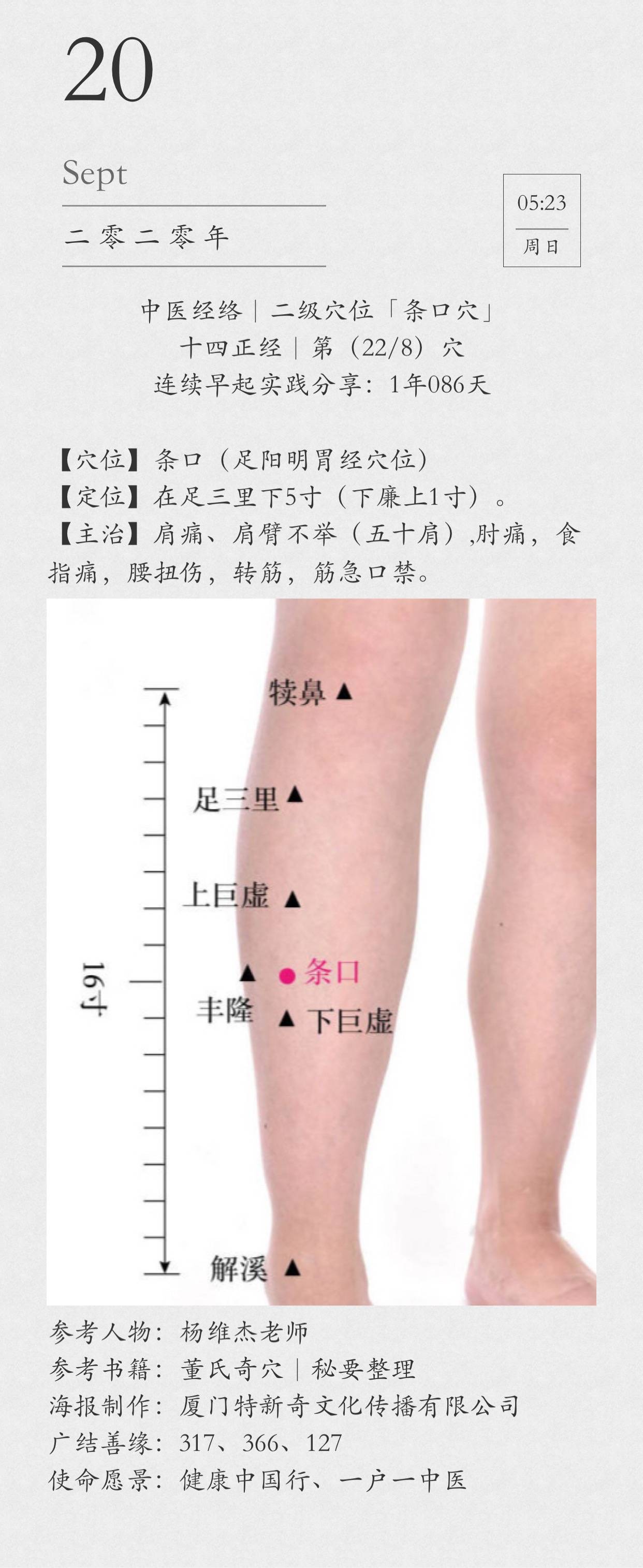 中医经络|二级穴位「条口穴」十四正经|第(22/8)穴连续分享:1年086天