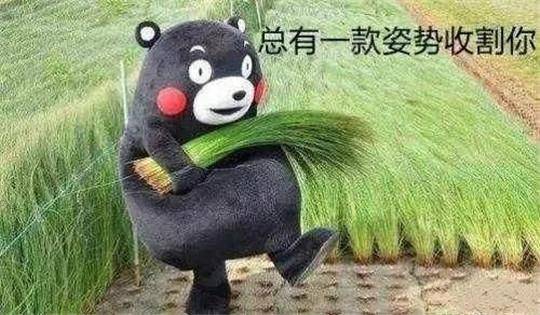恒大|【一周车话】科创板成“摇钱树”，美股的“韭菜地”却黄了！