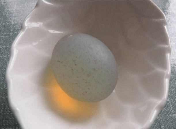 鸡蛋石头猜成语_看图猜成语(3)