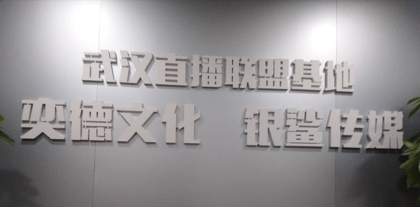 b体育：
《中国纪录》新媒体一行前往武汉银鲨传媒公司做文化交流(图1)