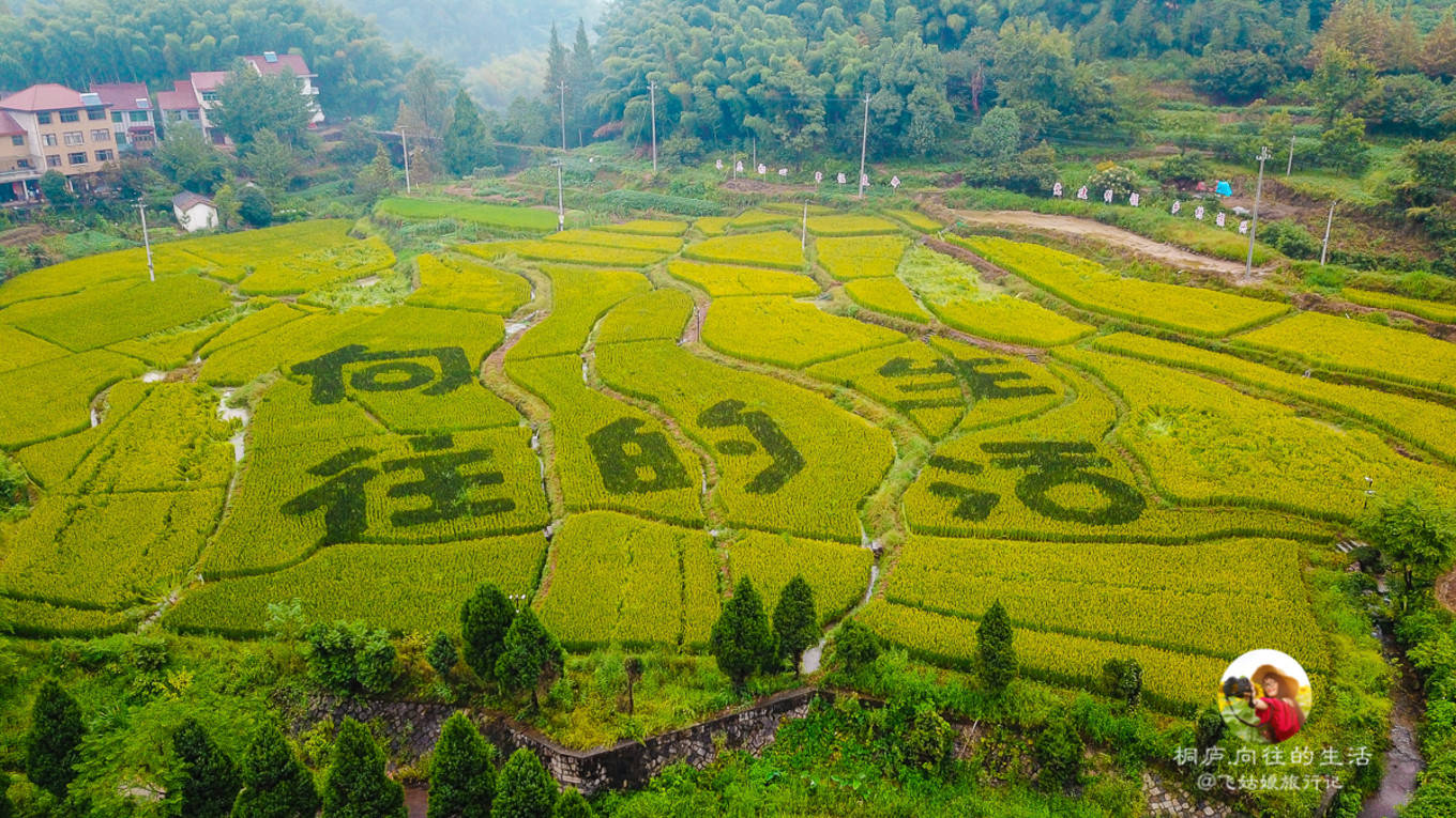 桐庐合岭村,曾因湖南卫视《向往的生活》蘑菇屋火爆网络,如今又有向往