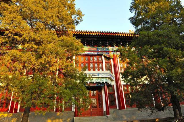 高校|中国137所高校上榜重磅!2021泰晤士世界大学排名公布