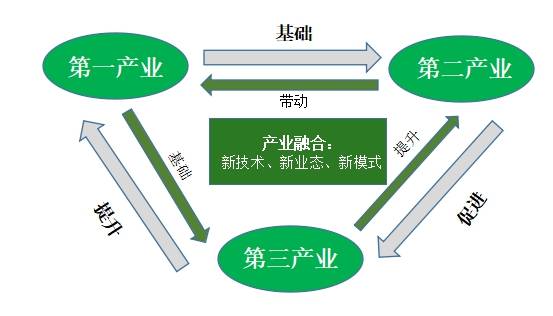 融合一二三产,延伸牡丹产业链,龙池牡丹是这样做的