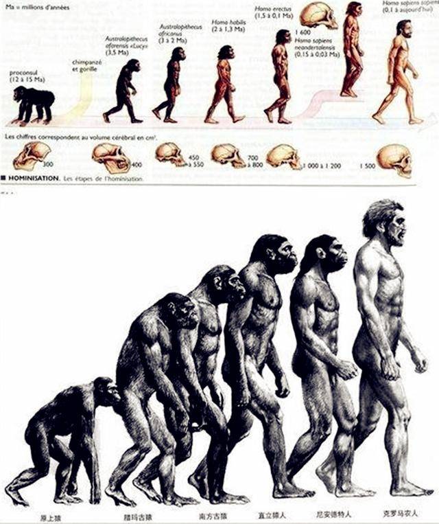 古人为何都认为:人类的祖先是猴子?看神话中的人类起源就知道了