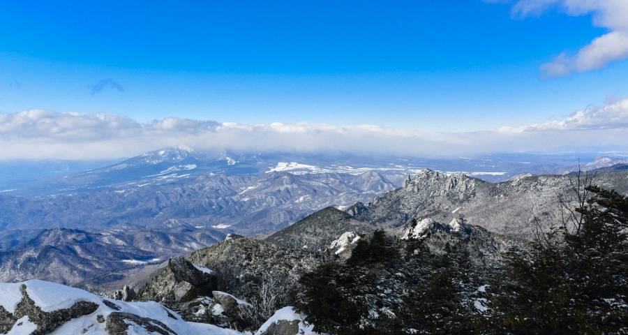 今后几年家电零售业的新走势:不是线上线下直播,而是用户体验-家电圈官网