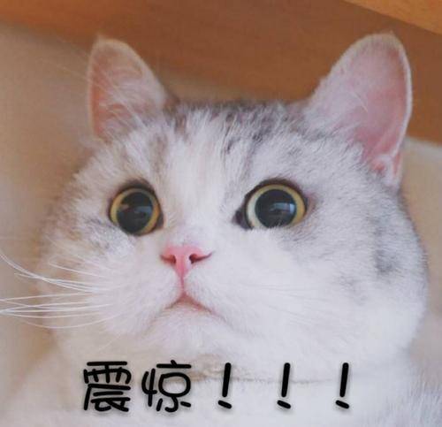 秦岚|伊能静每年七位数护肤,而张雨绮曝一个月护肤花费,戚薇都被吓到