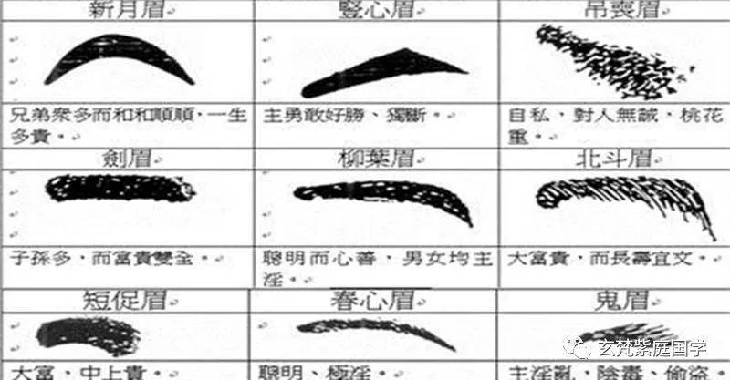 国外专家研究证明中国面相学的科学性干货值得收藏