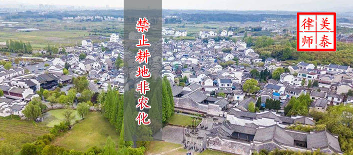 重磅发布《关于坚决制止耕地"非农化"行为的通知》