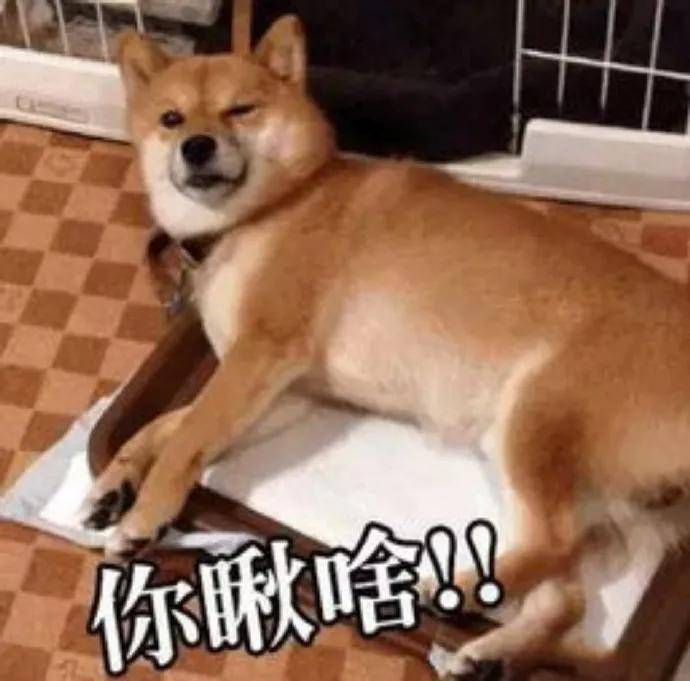 07cf28d1660146049f4eabb8d5d481f5.jpeg