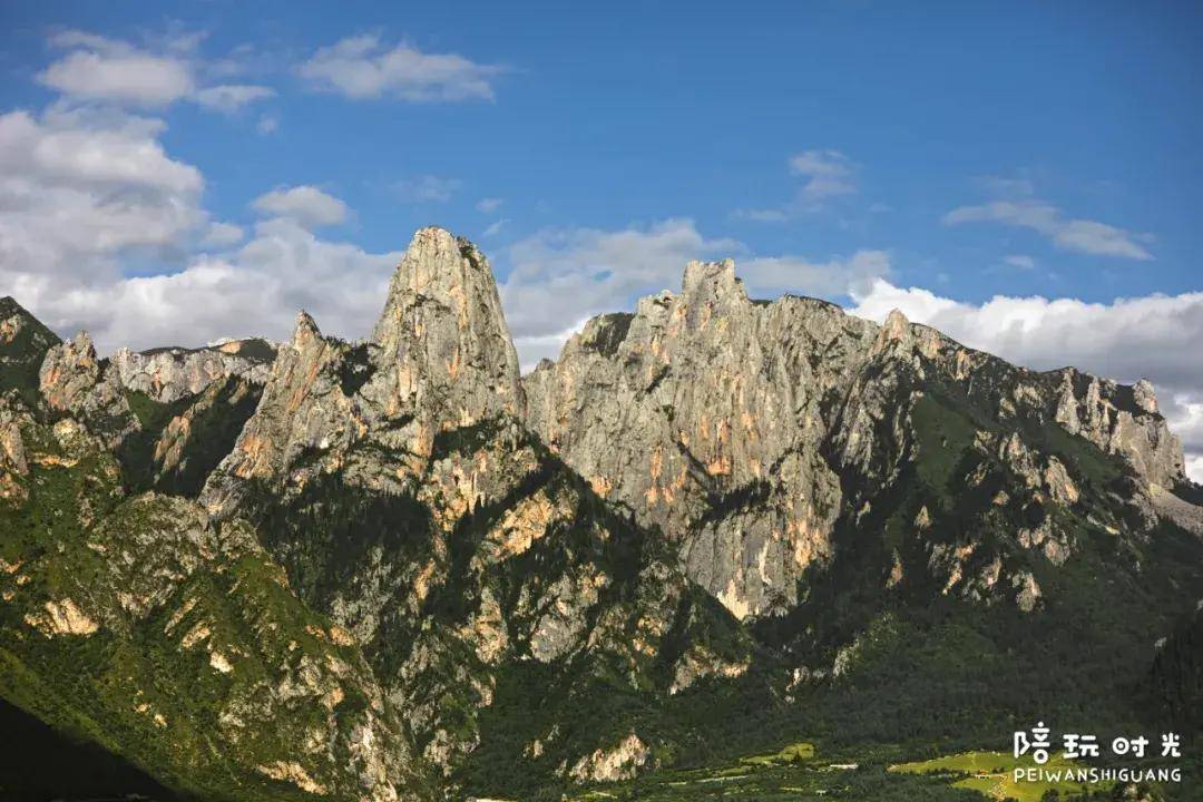 d79d235396114802b55a25285594d1e8.jpeg
