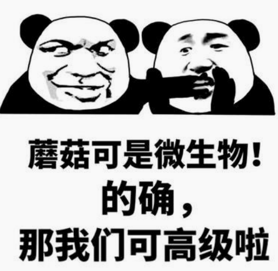 7344ff4e023043faad4122428f521746.png