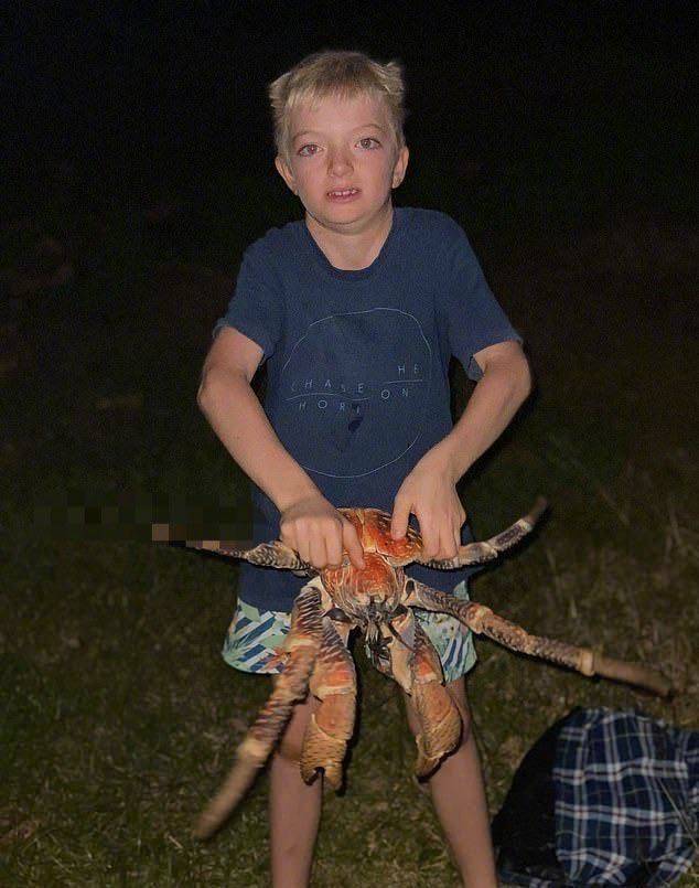 大螃蟹|可惜不敢吃直流口水！家庭烧烤时爬来50多只大螃蟹