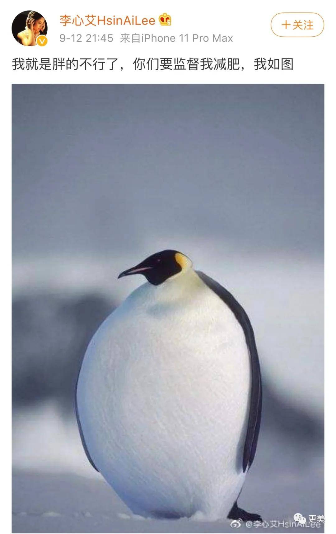 do|胖成球，眼睛do到快掉出眼眶，周杰伦最美“前女友”咋了...