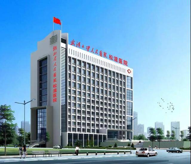 而松滋市人民医院,也在2017年启动了新院区的建设.