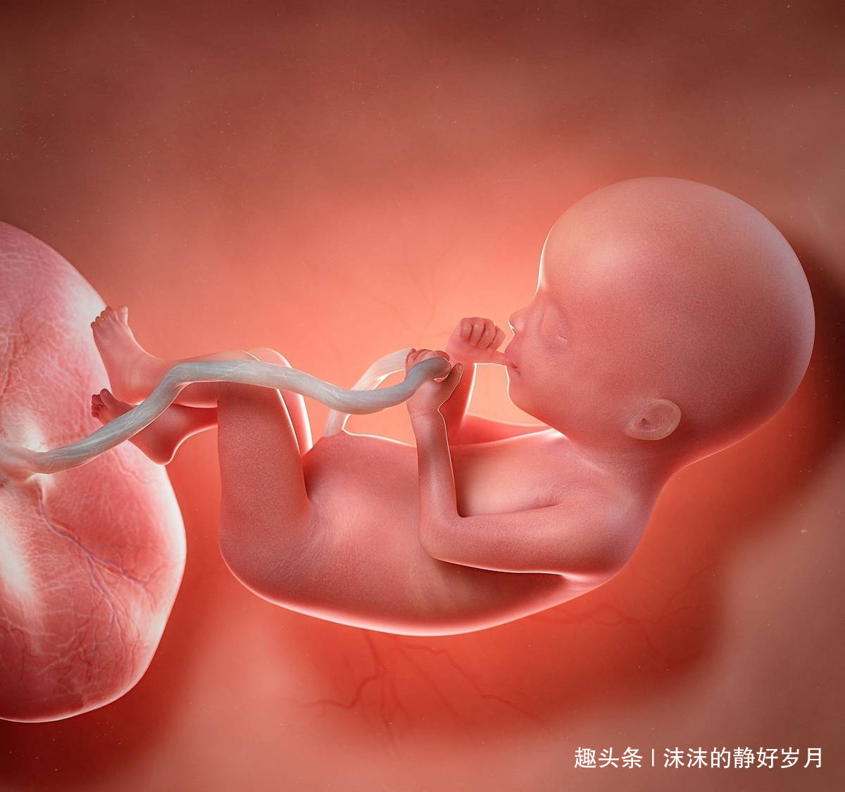 宝宝|会导致胎宝宝脐绕颈？还是听听专家的解释吧孕妈妈常摸肚子