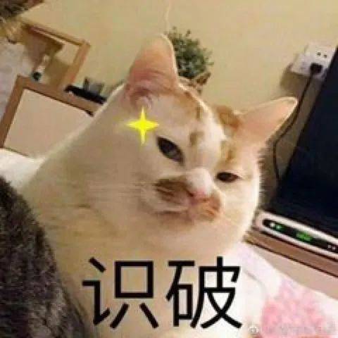 婚礼|费尽心机炫富、艳压翻车不断,网红晚晚这次彻底崩了?