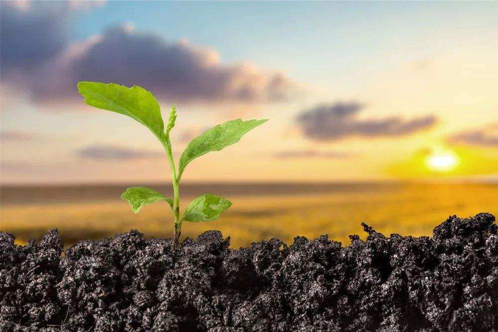 全球|节前天雷滚滚：全球的股都大涨就A股大跌！A股到底在担心什么！