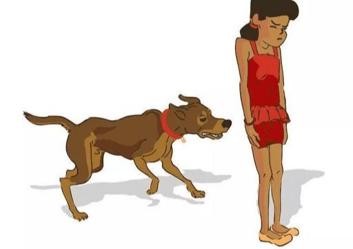 家长|家长如何保护我们的孩子，这些方法很有效伤杀力极大的狂犬病