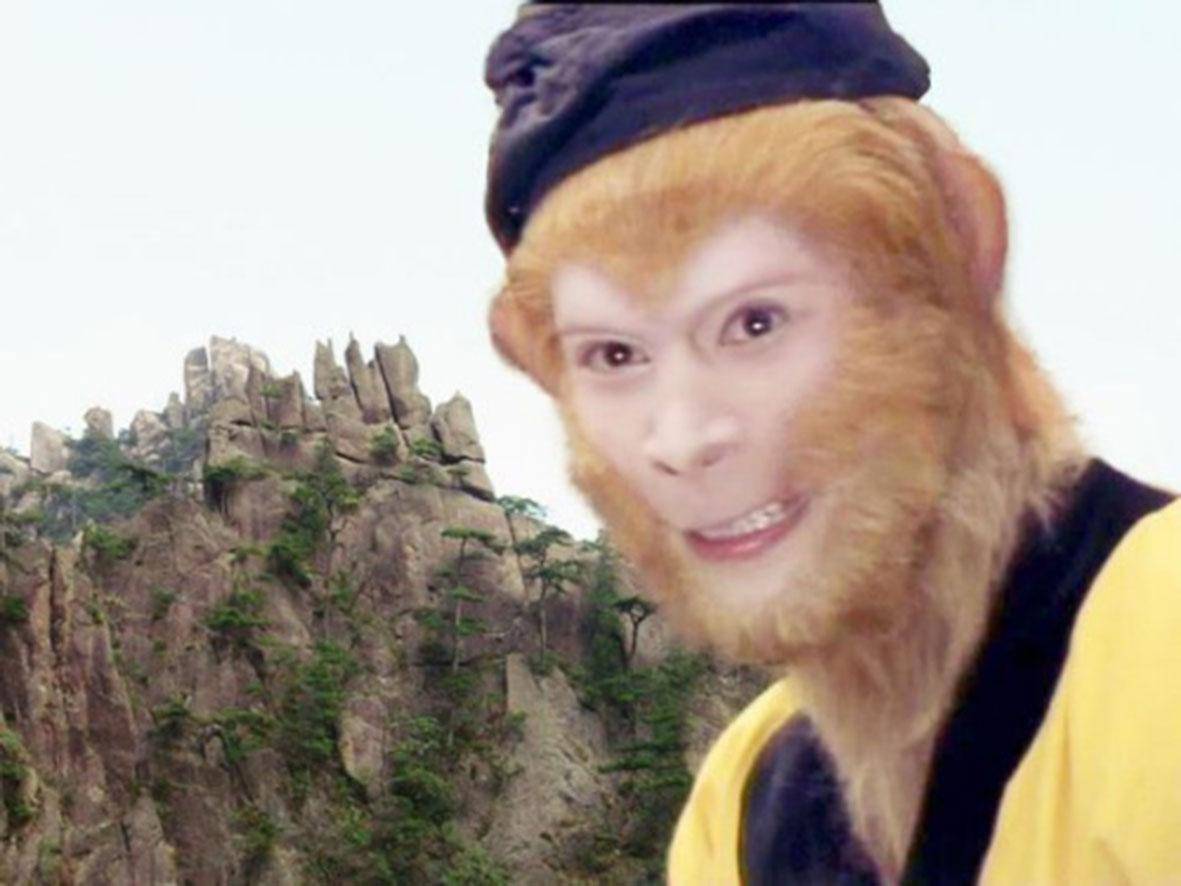 人参果|别被电视剧骗了：推倒人参果树，孙悟空为何不敢去找菩提祖师？