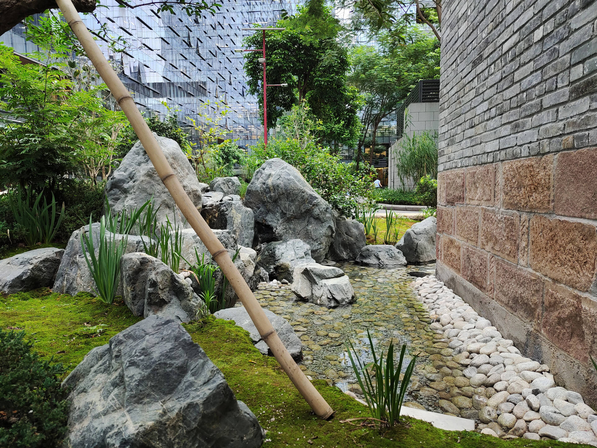 Delta|iQOO 5 体验评测：没有百瓦快充，却不失为均衡旗舰